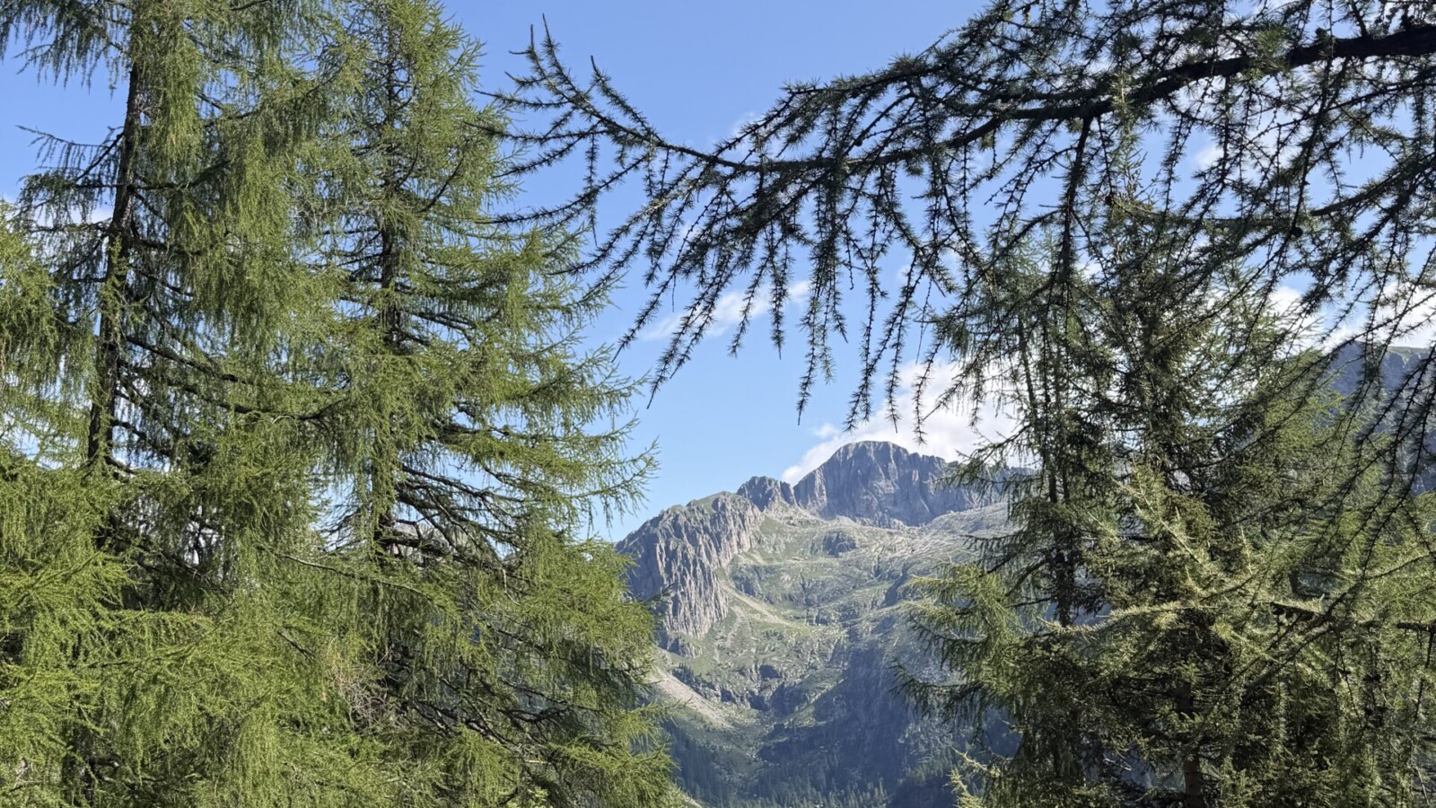 vista dalla val vendrame verso cima d'asta anello forcella segura 20260719 - 05_Scorcio verso cima dasta